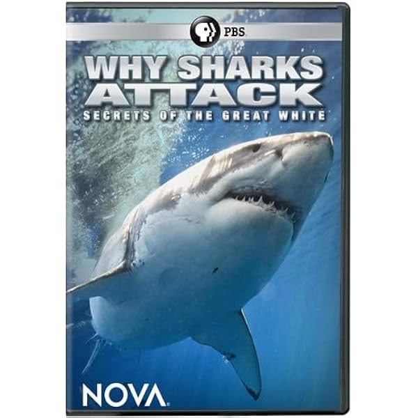 Amazon.com: Anatomy of a Shark Bite [DVD] : J.V. Martin, Jim